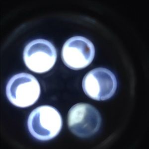 Meet your Posher, Ken